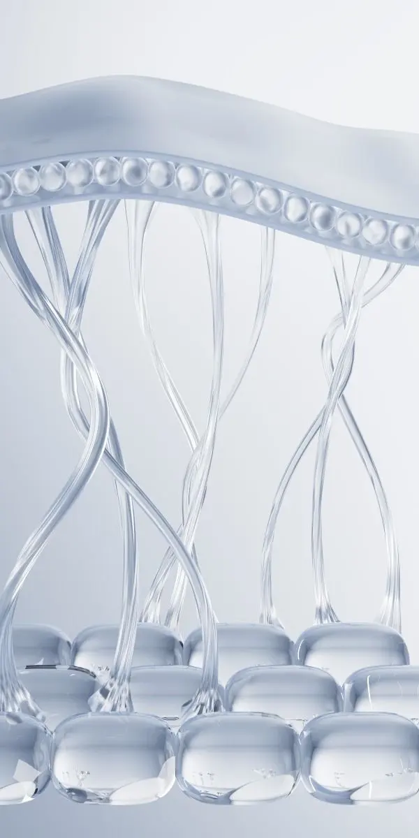 Illustration of translucent strands running between rounded cell-like structures, representing a connective matrix